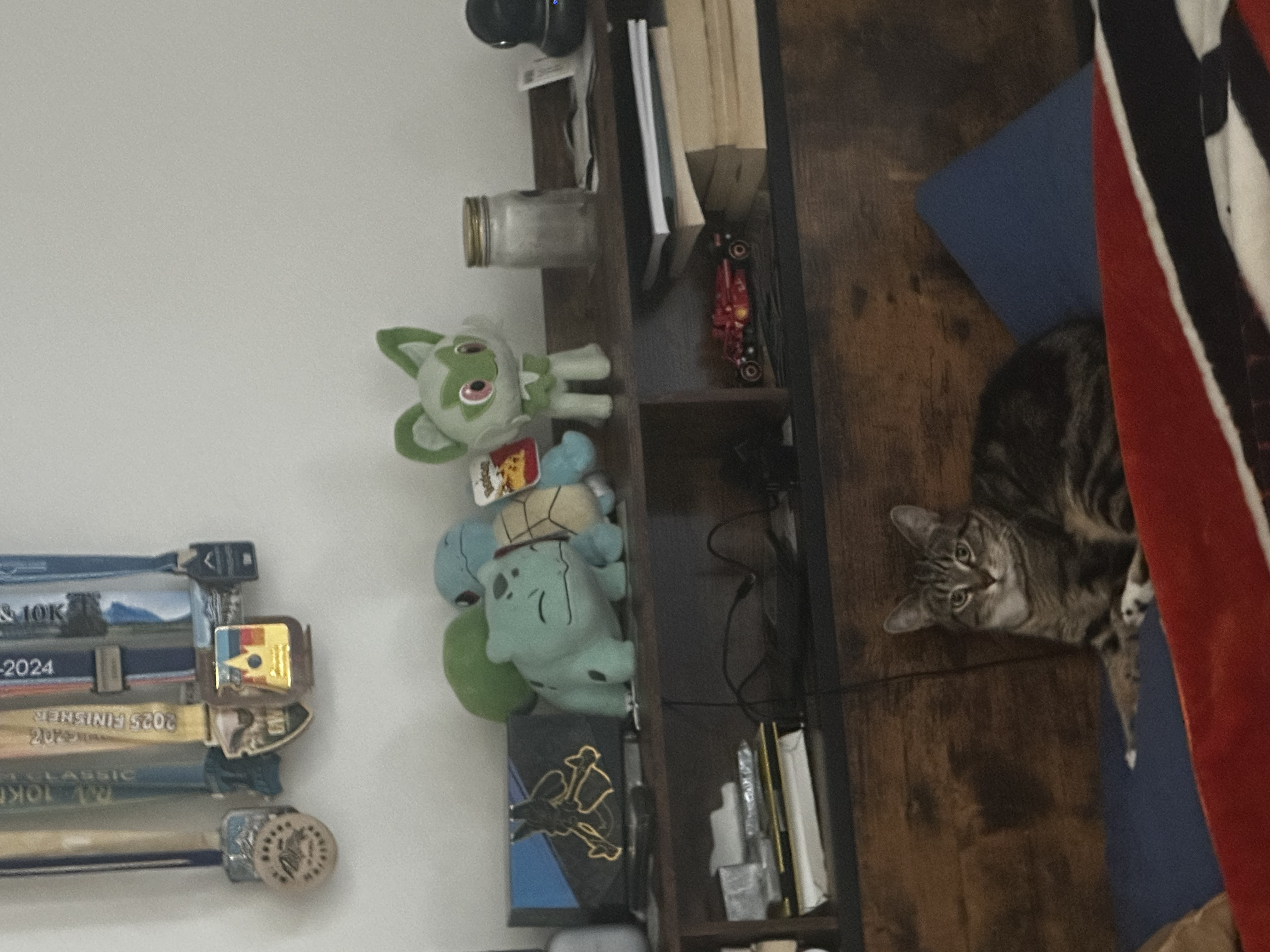 Training companion with medals